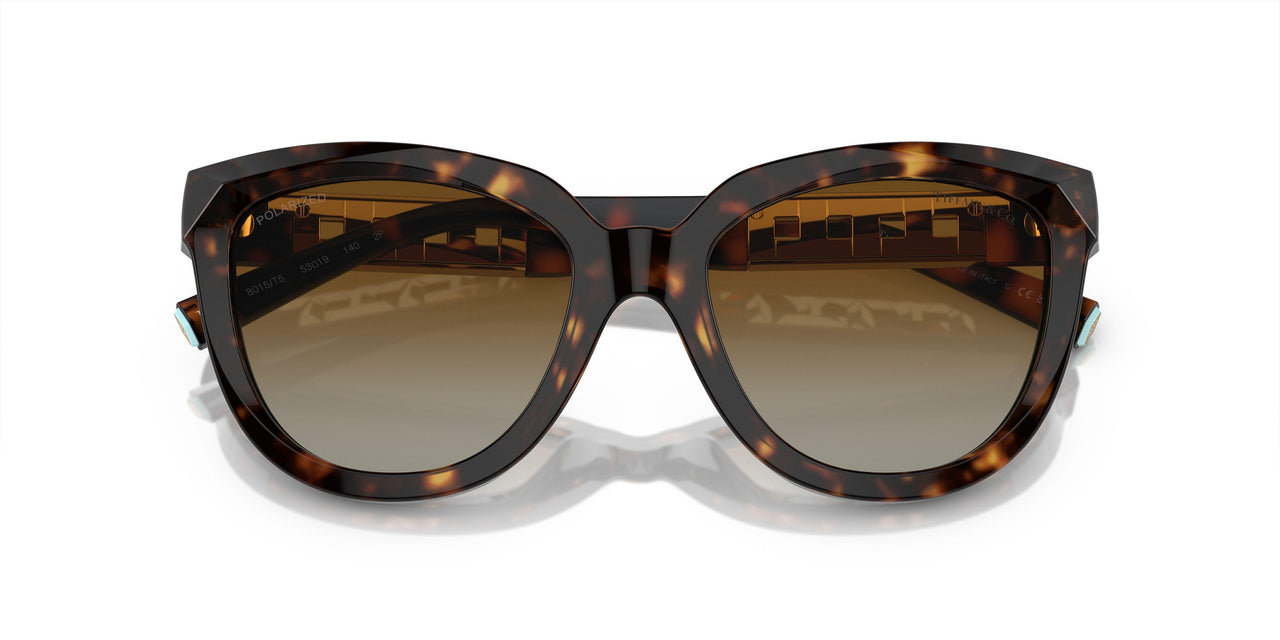 8015T5 - Tortoise - Polar Brown Gradient