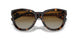 8015T5 - Tortoise - Polar Brown Gradient