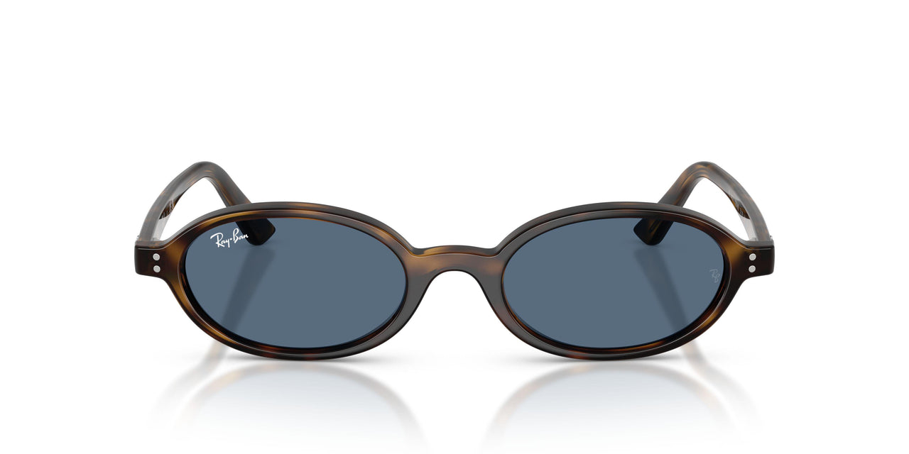 135980 - Tortoise - Dark Blue