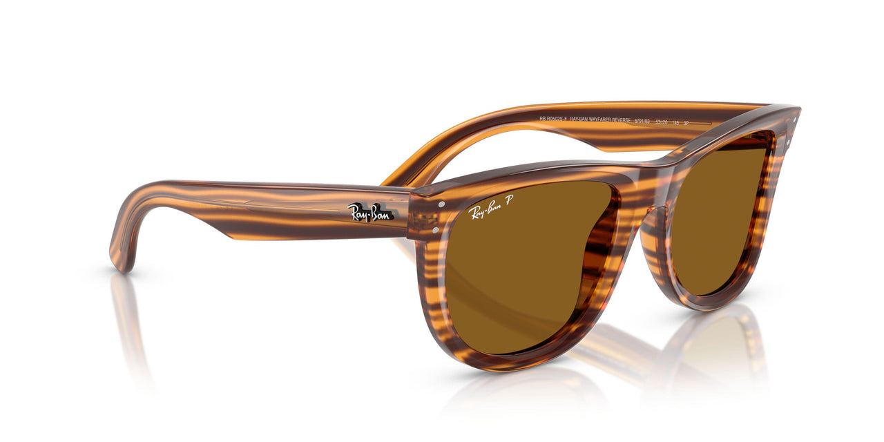 679183 - Brown - Polar Dark Brown
