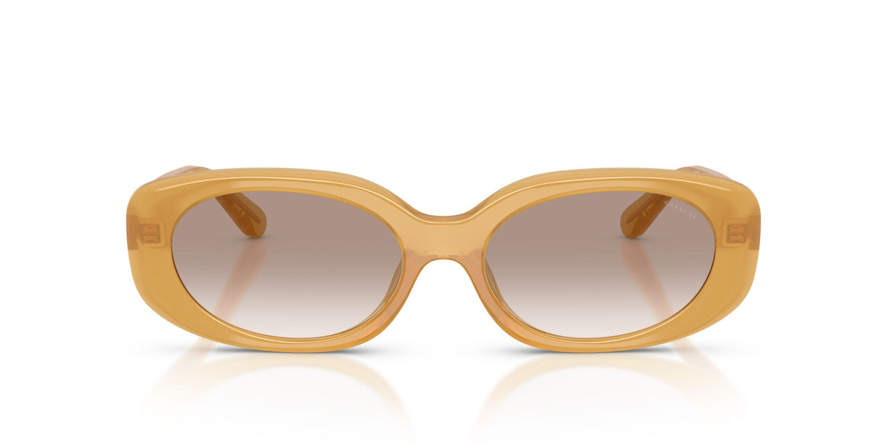 591313 - Brown - Light Brown Gradient