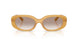 591313 - Brown - Light Brown Gradient