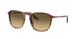 13920A - Brown - Brown Vintage