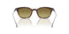 30382A - Brown - Gradient Green