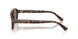 502673 - Tortoise - Dark Brown
