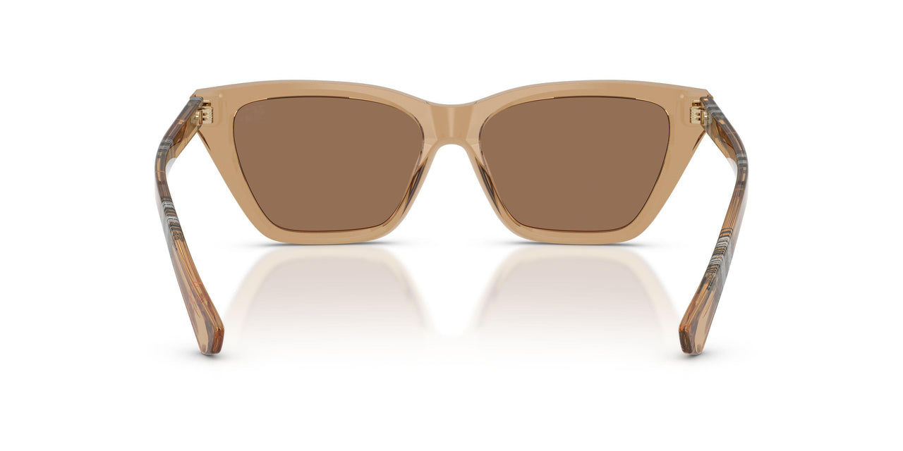 416473 - Beige - Dark Brown