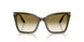 63788E - Green - Clear Gradient Dark Green