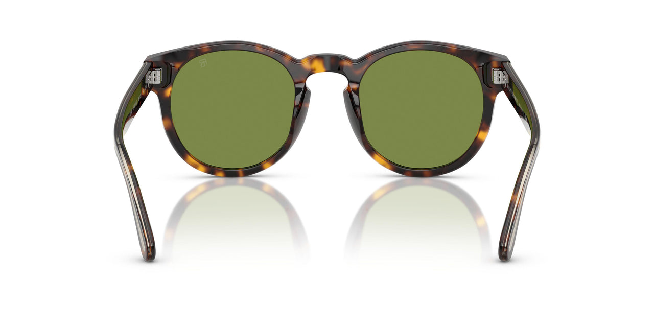 50034E - Brown - Solid Green