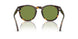 50034E - Brown - Solid Green