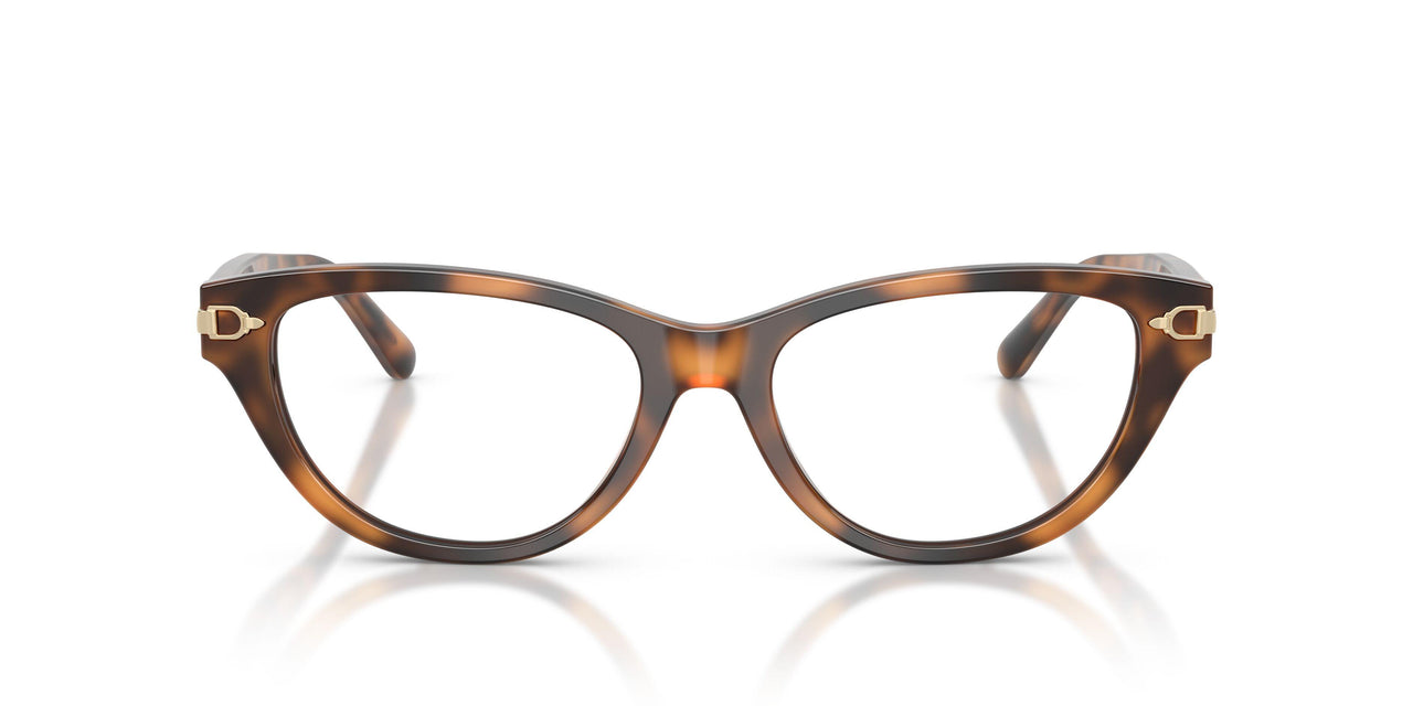 6089 - Tortoise