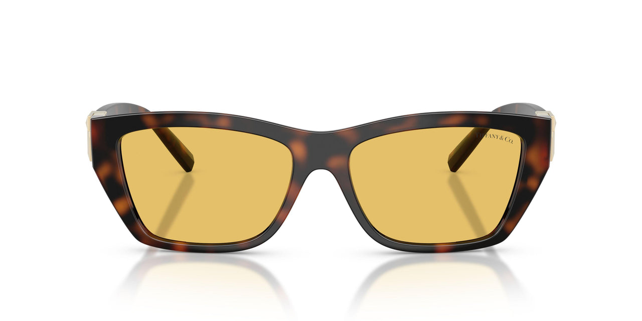 845685 - Tortoise - Yellow