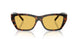 845685 - Tortoise - Yellow