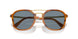 960/56 - Tortoise - Light Blue
