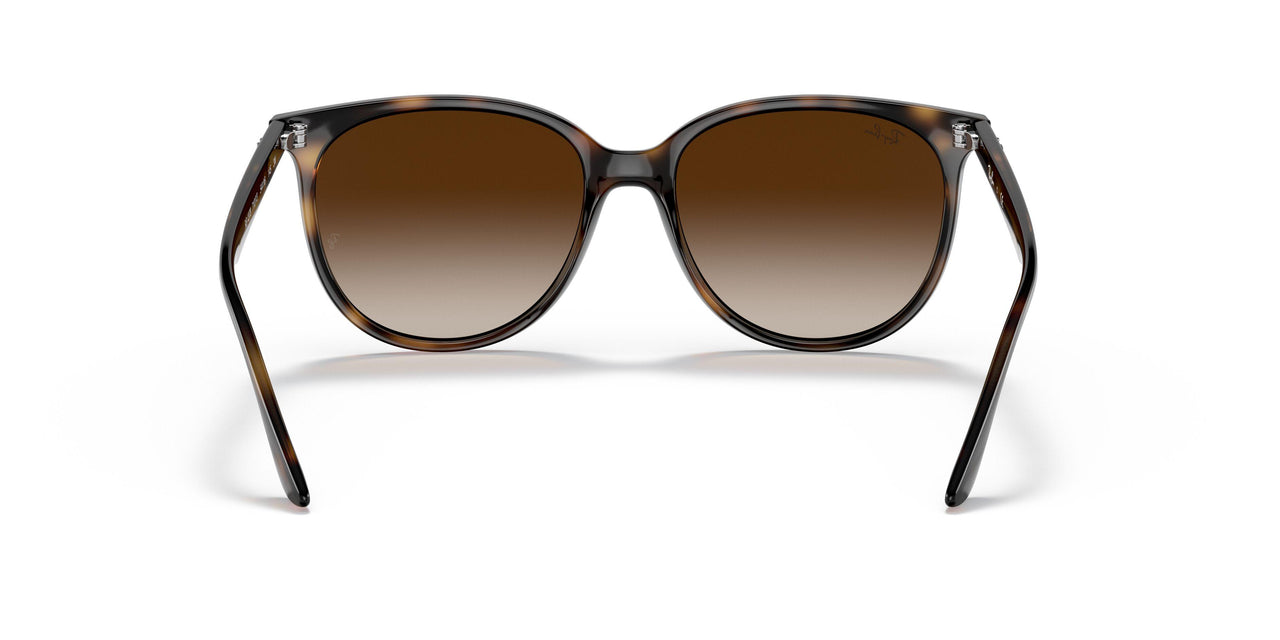 710/13 - Havana - Gradient Brown