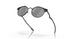 604603 - Black - Prizm Black Polarized