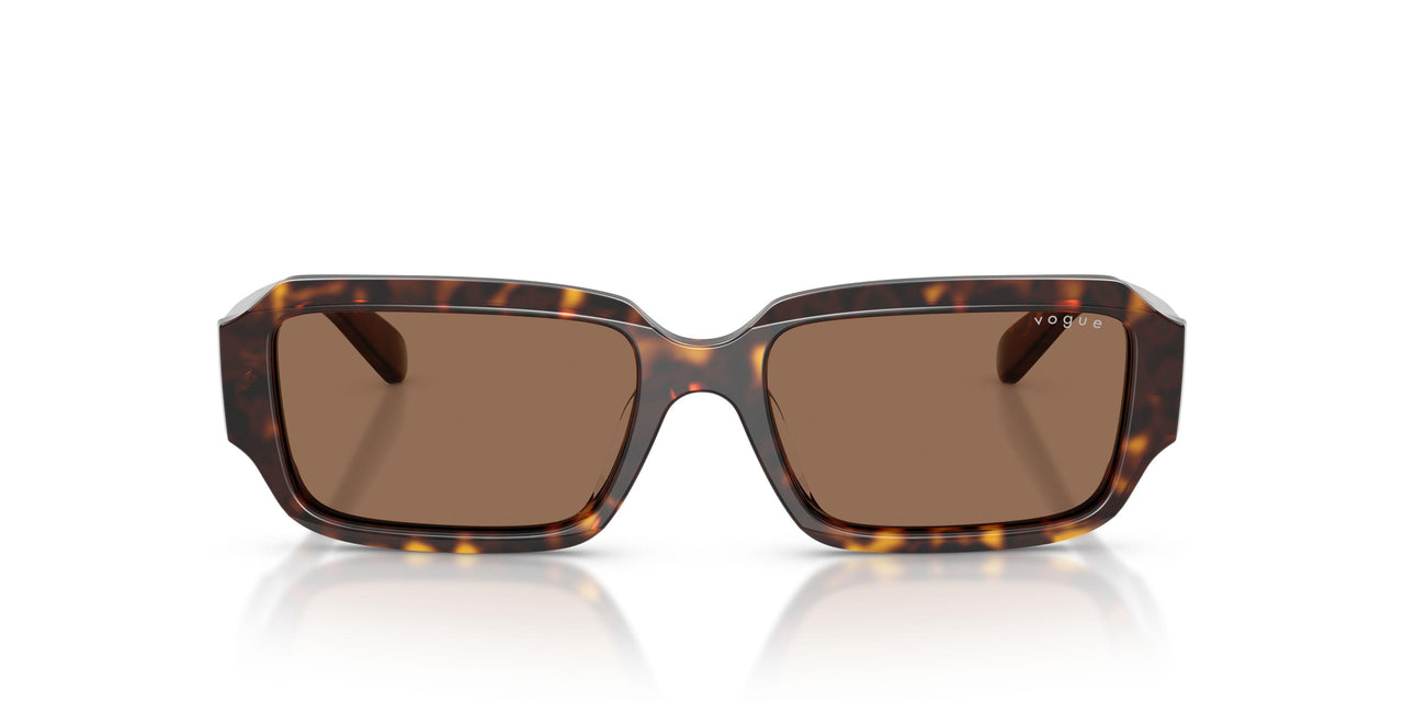 W65673 - Brown - Dark Brown