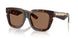 300273 - Brown - Dark Brown