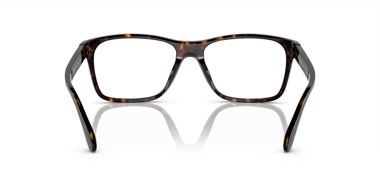 5003 - Tortoise