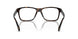 5003 - Tortoise