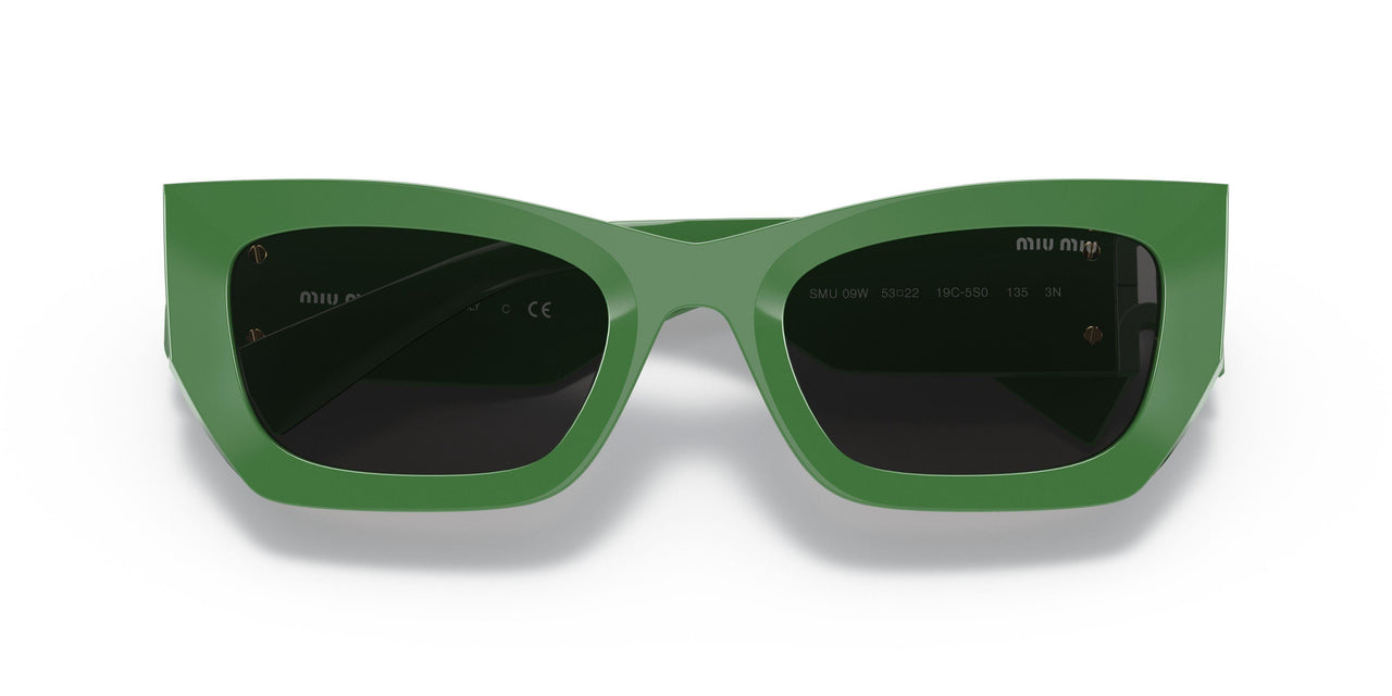 19C5S0 - Green - Dark Grey