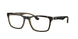 8285 - Tortoise - Clear