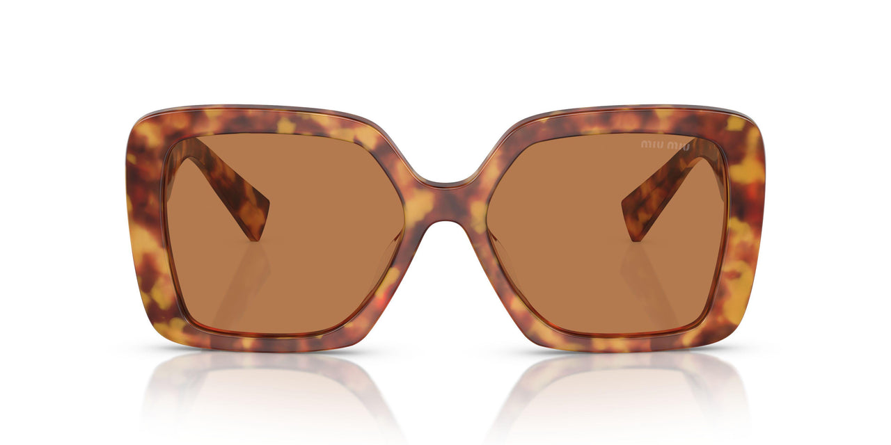 4BW2Z1 - Tortoise - Brown