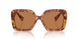4BW2Z1 - Tortoise - Brown