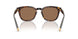 562573 - Tortoise - Dark Brown