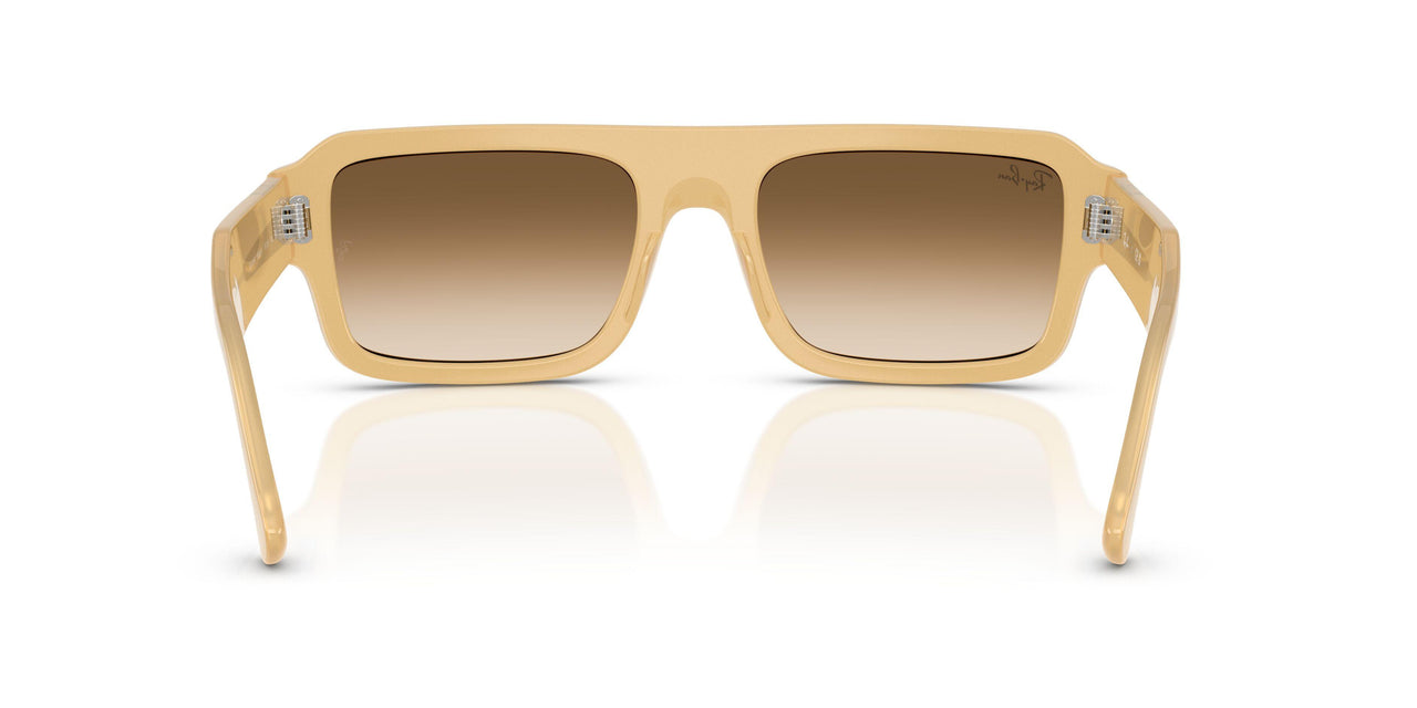 680651 - Brown - Clear Gradient Brown