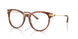 5023 - Tortoise