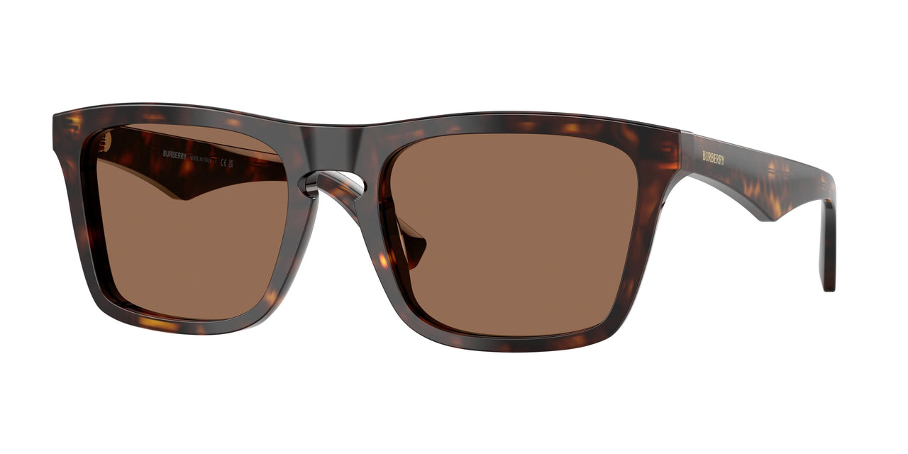 Burberry 4434 Sunglasses