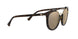 50265A - Havana - Light Brown Mirror Dark Gold