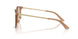 507693 - Brown - Light Brown