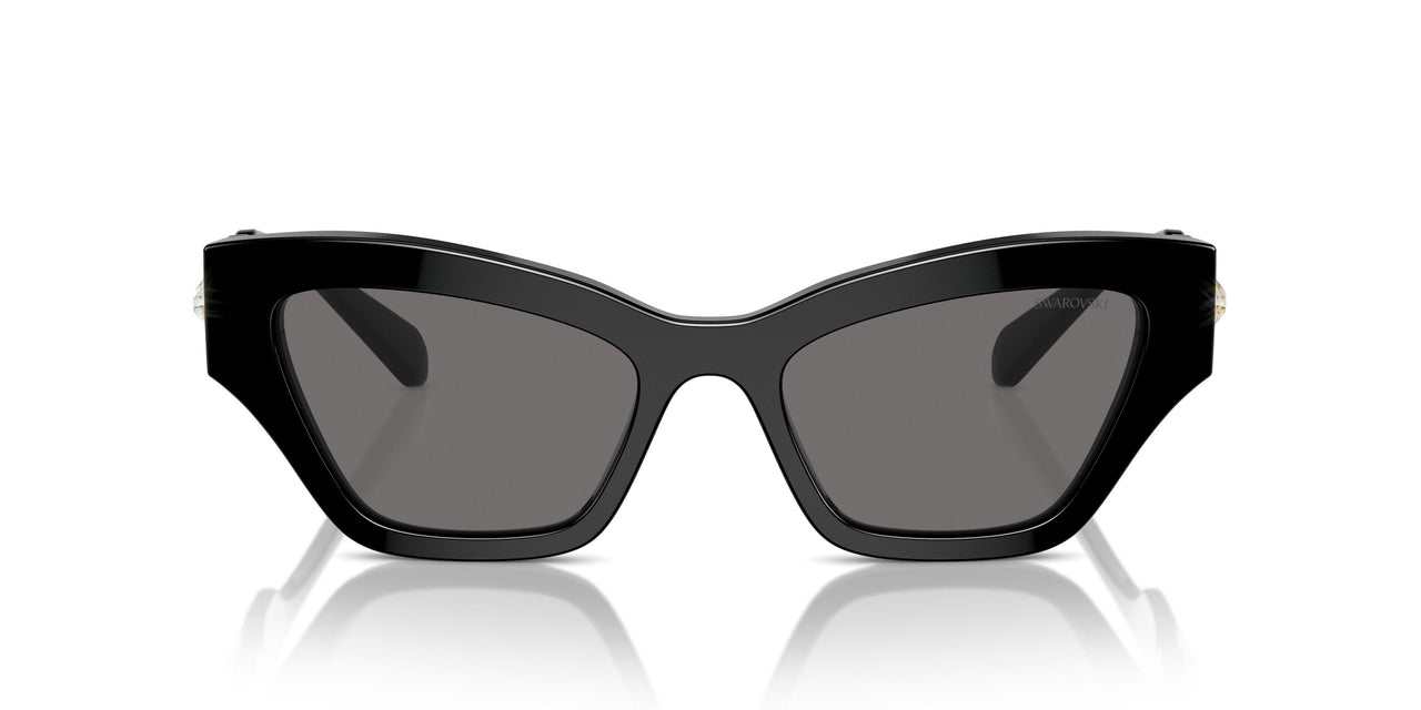 100181 - Black - Dark Grey Polarized