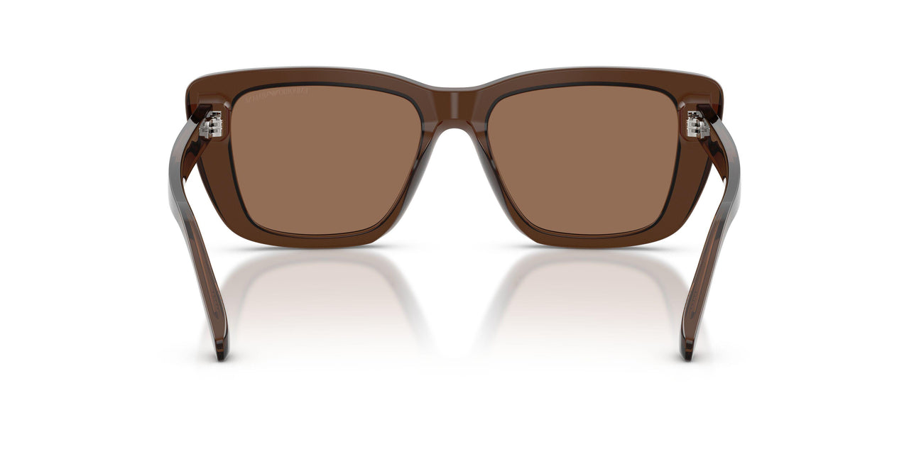 625173 - Brown - Dark Brown