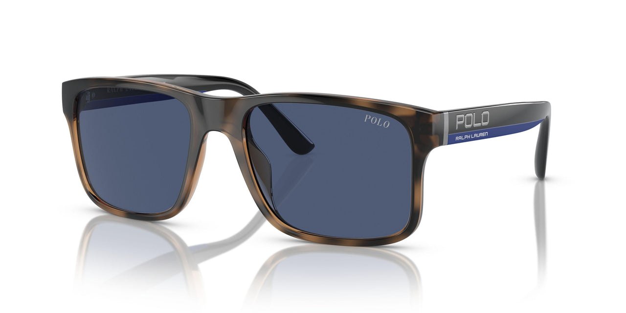 597480 - Brown - Blue