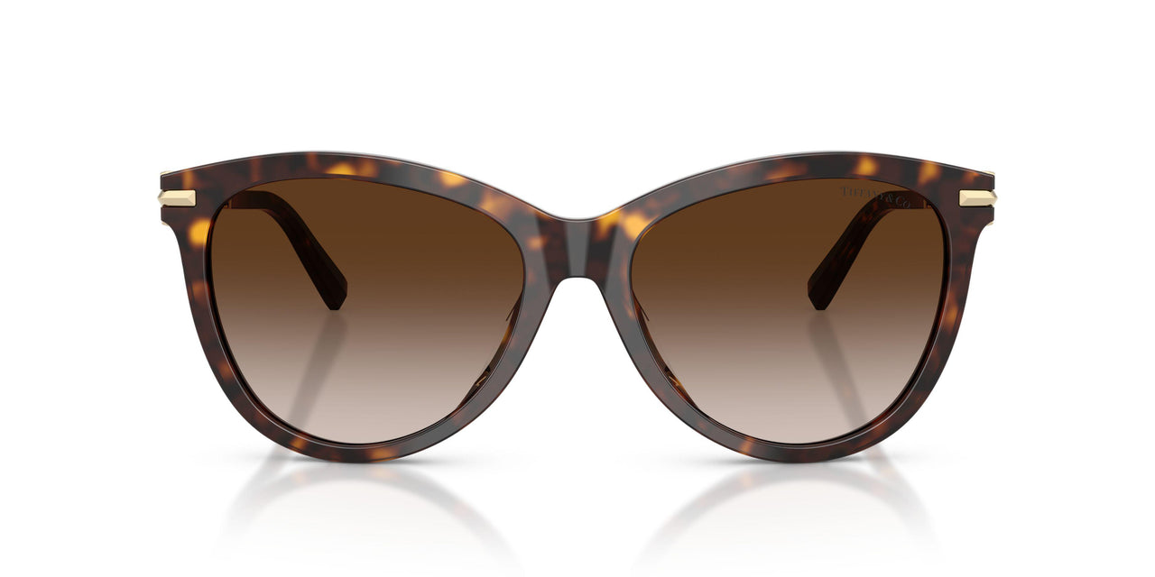 80153B - Tortoise - Brown Gradient
