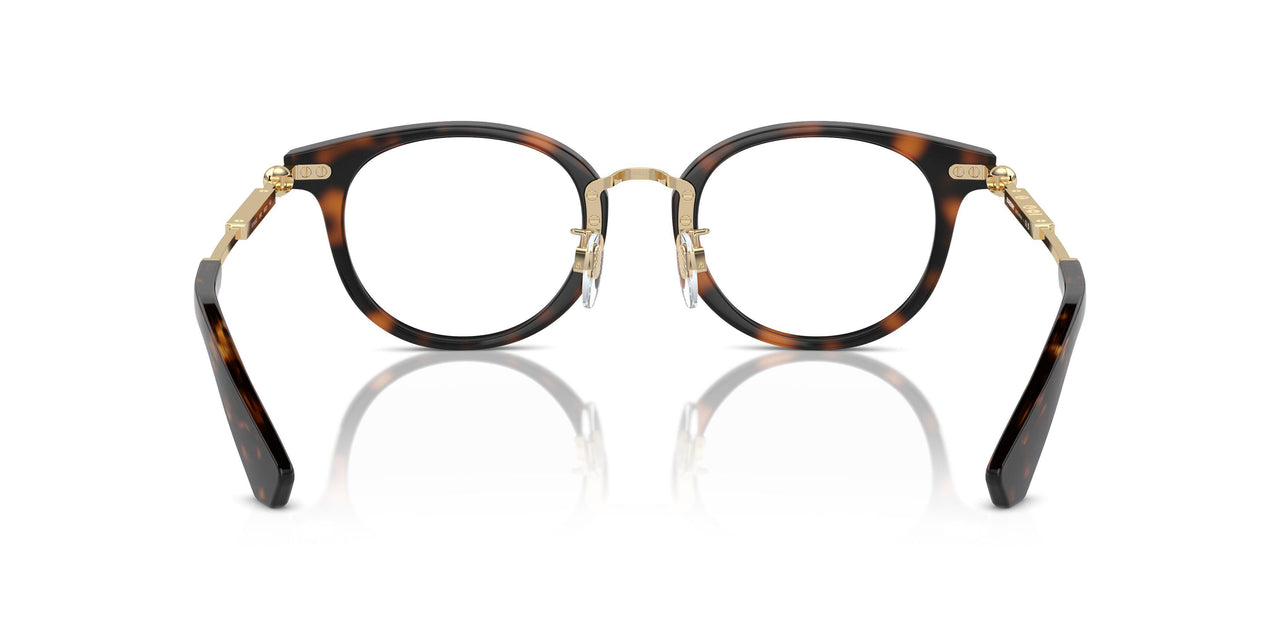 3002 - Brown