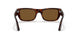 24/57 - Havana - Brown Polar