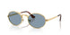 Ray-Ban 3931 Sunglasses