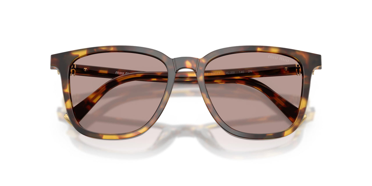 14L20I - Tortoise - Light Purple Brown