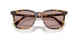 14L20I - Tortoise - Light Purple Brown