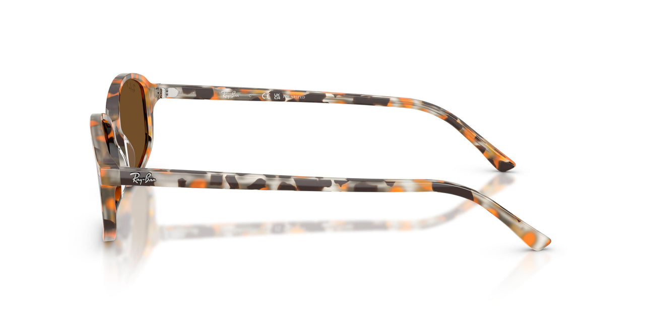 135757 - Brown - Brown Polarized