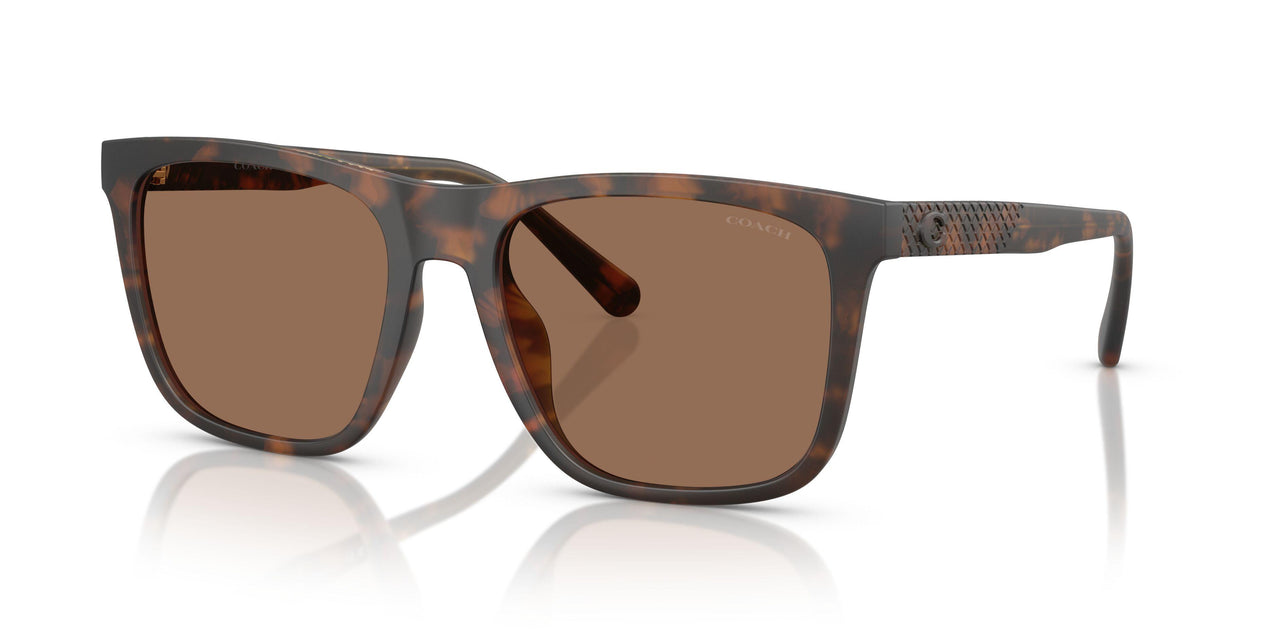 512073 - Tortoise - Brown Solid