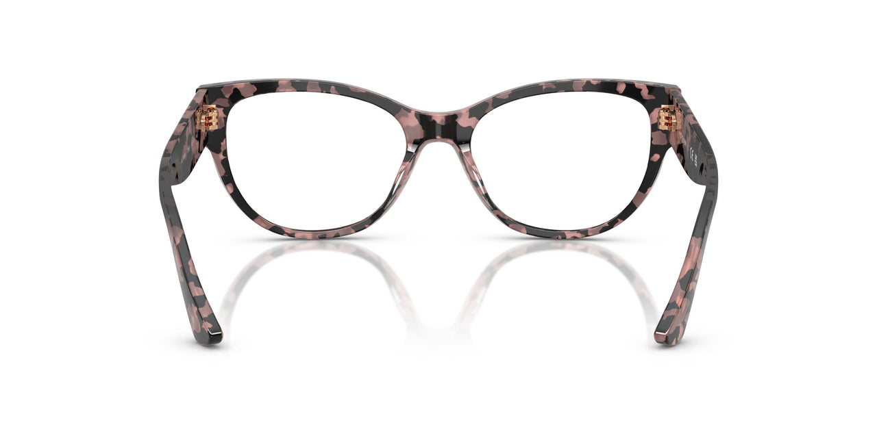 3150 - Tortoise