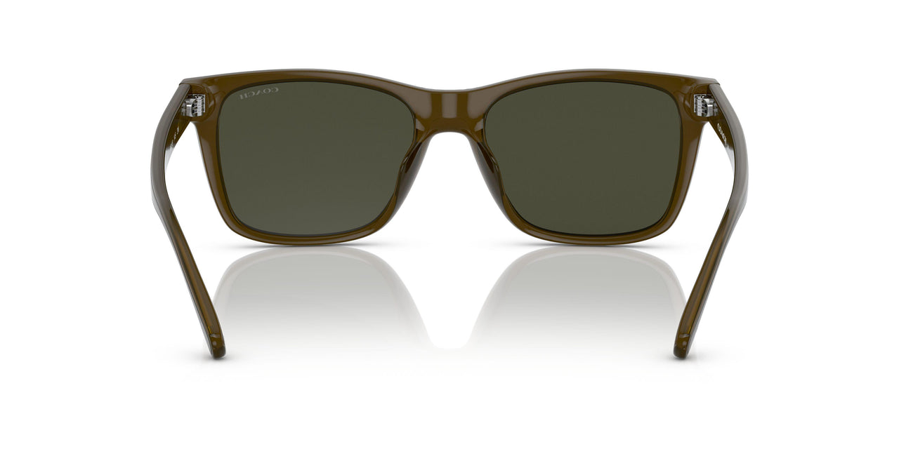 520382 - Green - Dark Green Solid