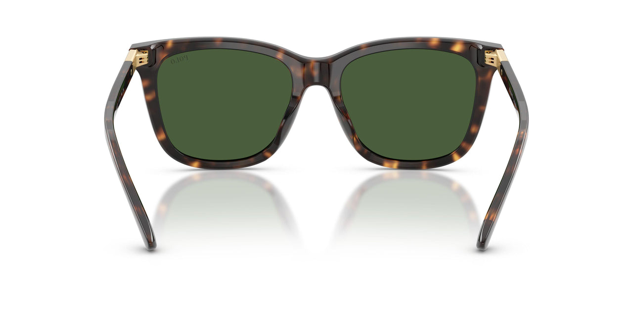 500371 - Tortoise - Bottle Green