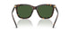 500371 - Tortoise - Bottle Green