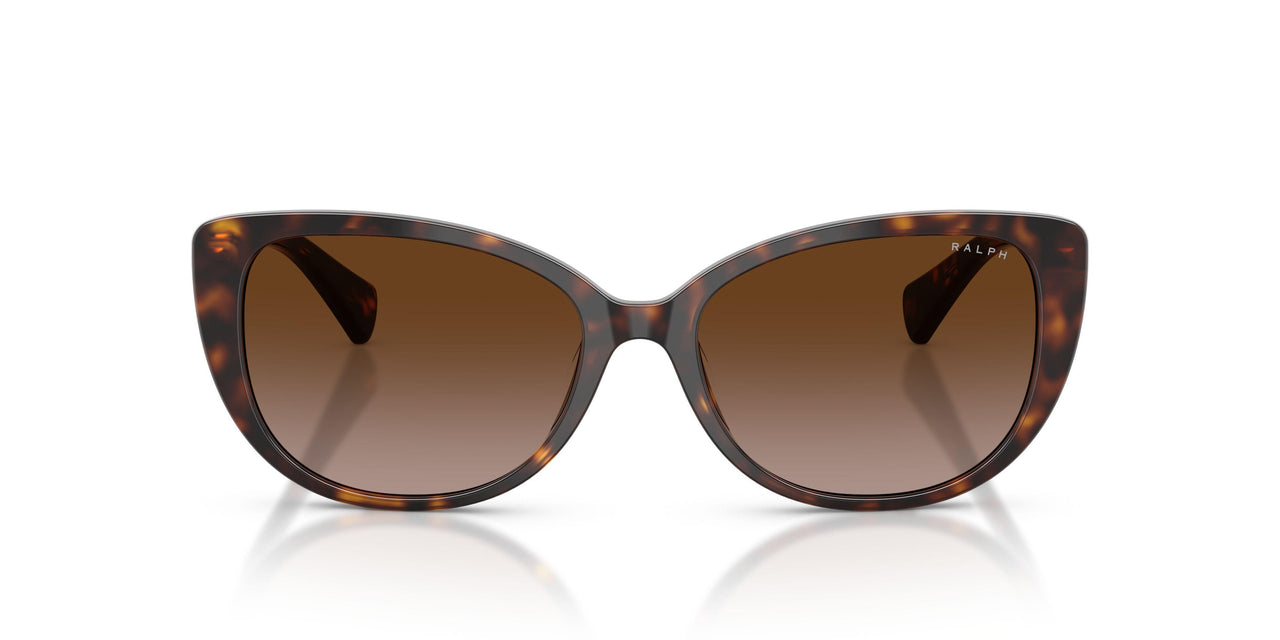 500313 - Tortoise - Gradient Brown
