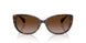 500313 - Tortoise - Gradient Brown